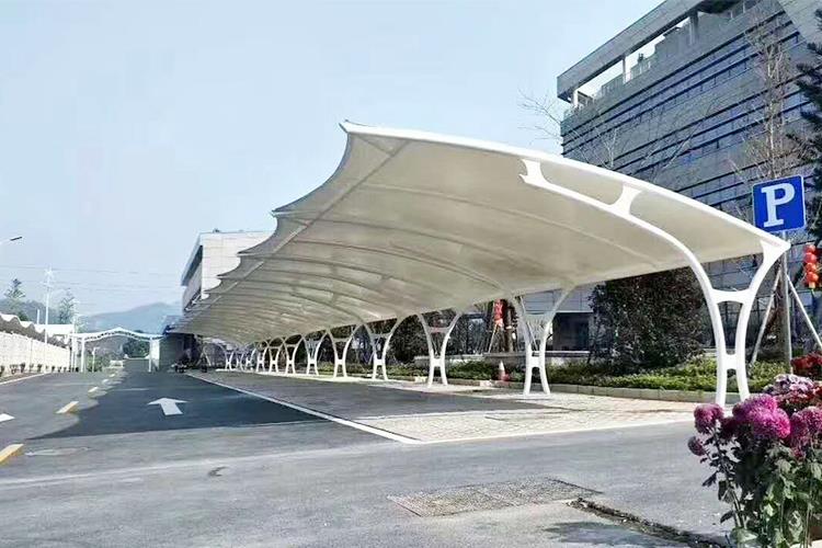 钢91视频H黄视频车棚