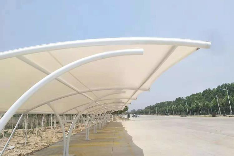 91视频H黄视频工程