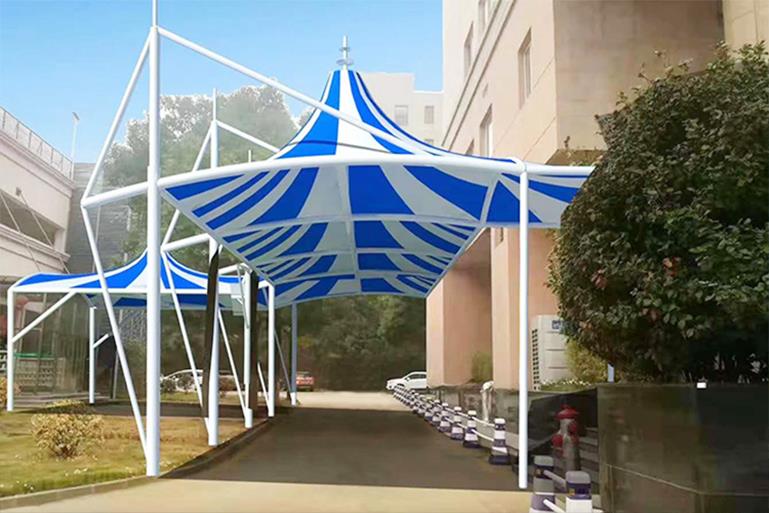 91视频H黄视频出入口