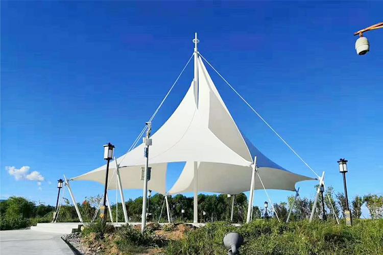 91视频H黄视频公司