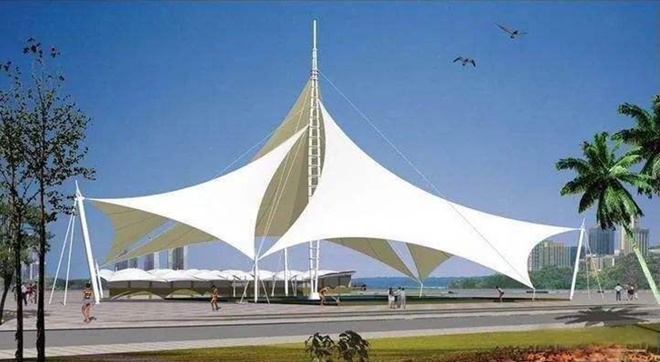 91视频H黄视频公司